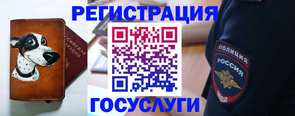 временная регистрация в квартире в Ивантеевке